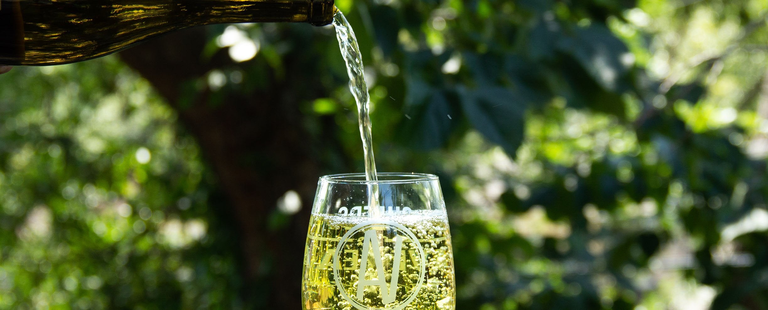 White wine being poured into AV stemless glass.